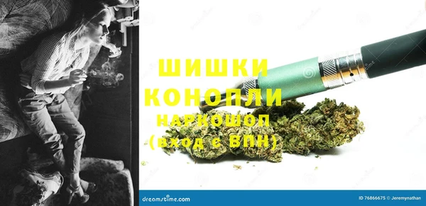 шишки Абинск