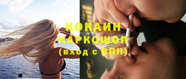 шишки Абинск