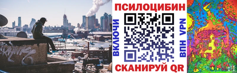 Галлюциногенные грибы Psilocybe  Киржач 